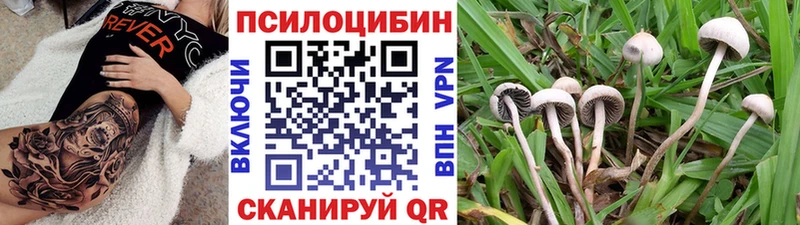 Купить закладки  Ярцево  Псилоцибиновые грибы GOLDEN TEACHER 